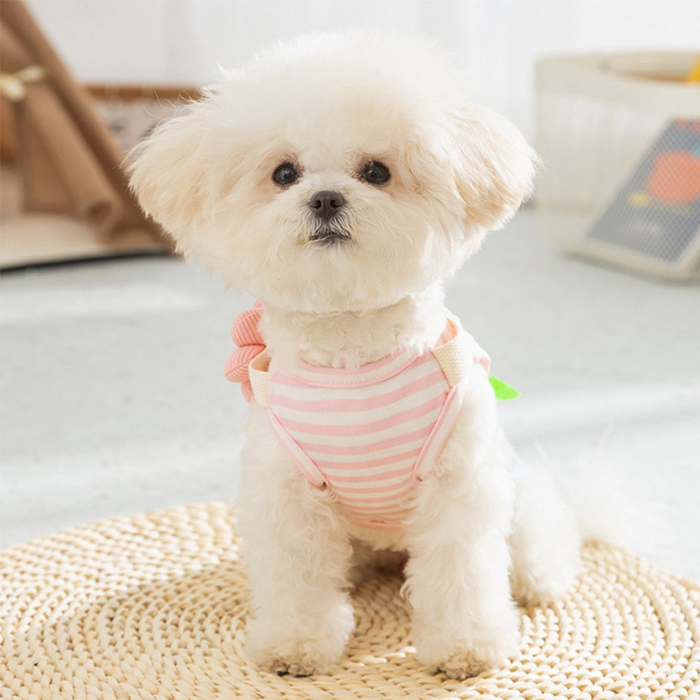Robe Salopette en Jean Personnalisée pour Animaux de Compagnie | inCloth49