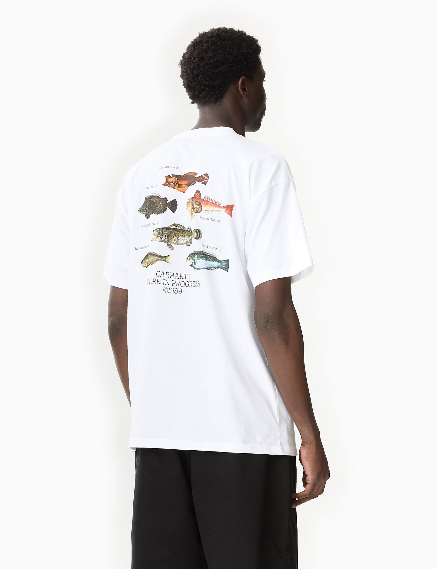 Fisch-T-Shirt (locker sitzend) – Dollargrün