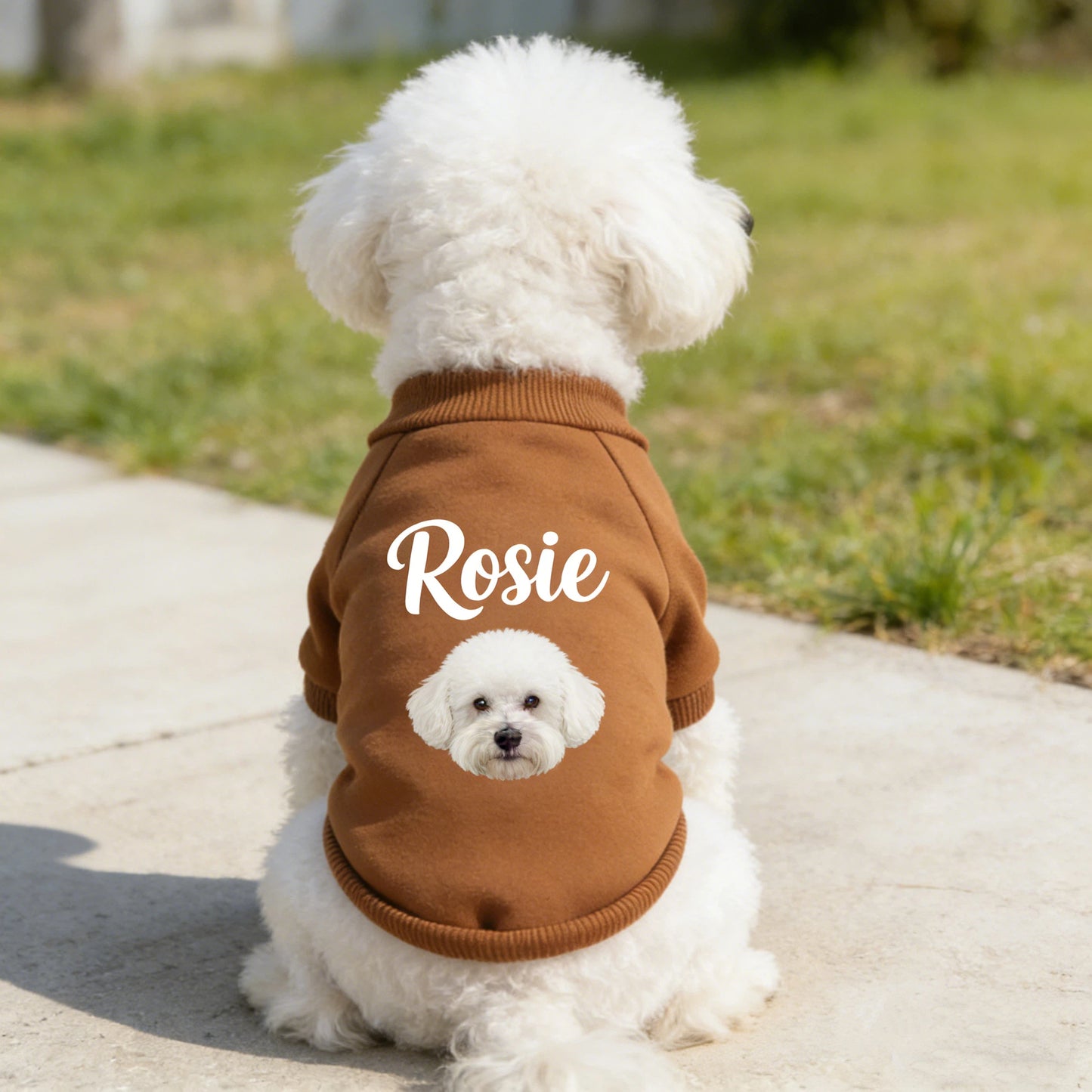 Personalized Name Pet Sweatshirt With Photo | inCloth26