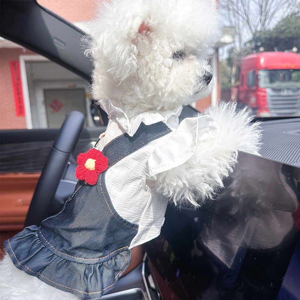Salopette personnalisée en jean pour animaux de compagnie | inCloth18