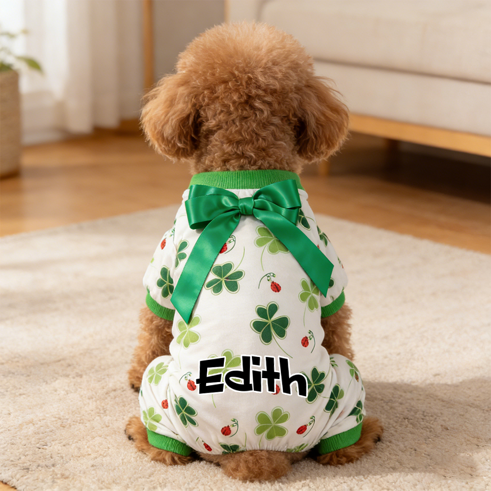 Personalisierter Lucky St. Patrick's Day Overall für Haustiere | inCloth07