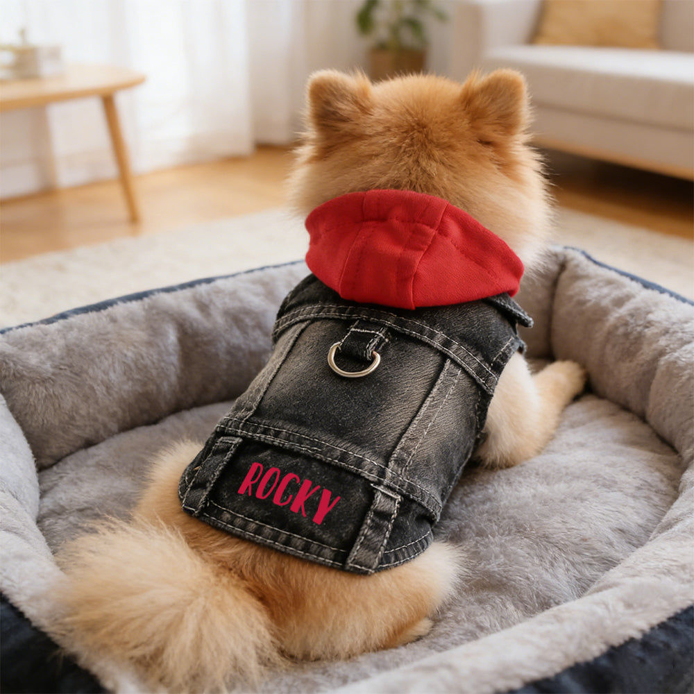 Personalized Name Denim Pet Hoodie Jacket | inCloth60
