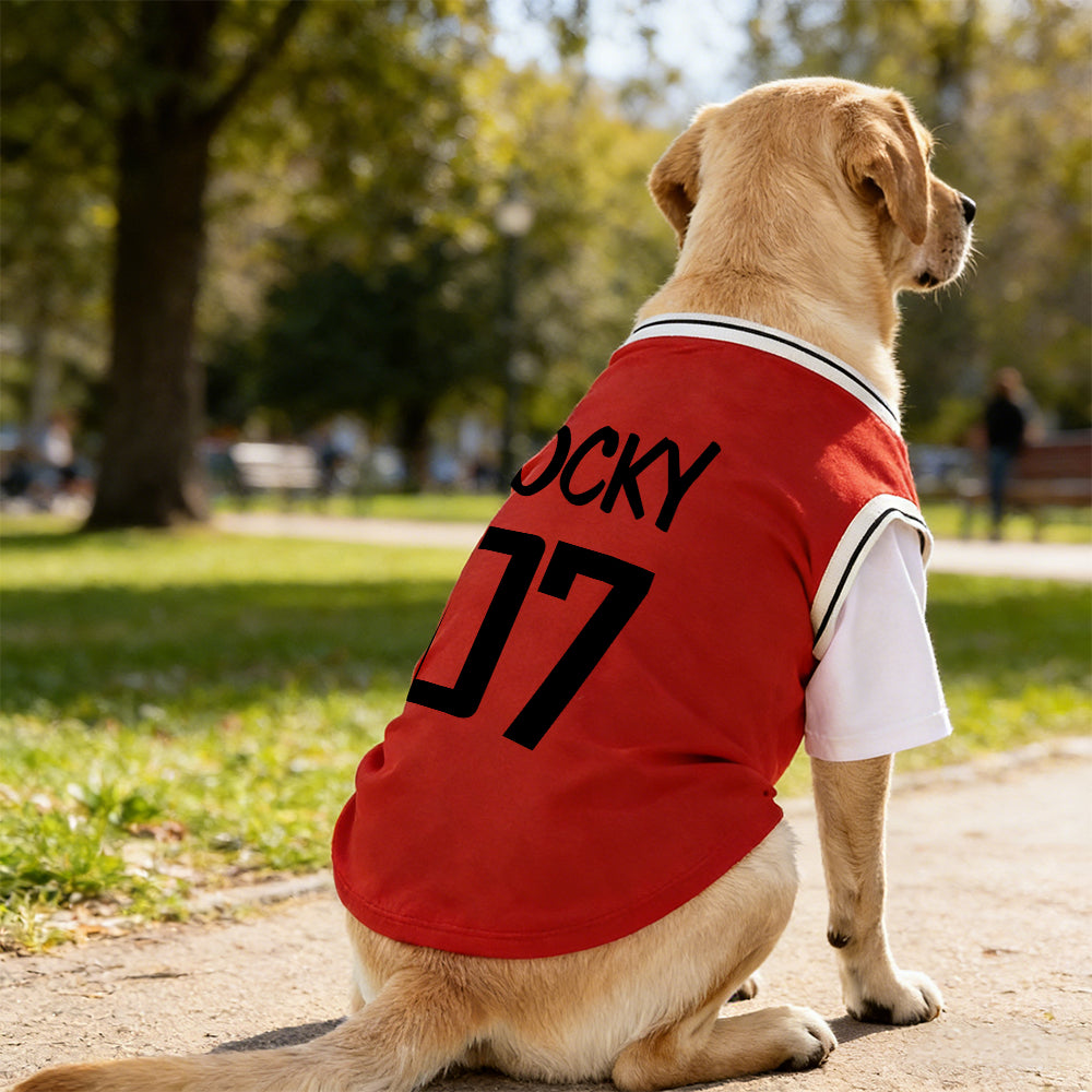 Personalized Breathable Pet Shirt with Name & Number | inCloth62