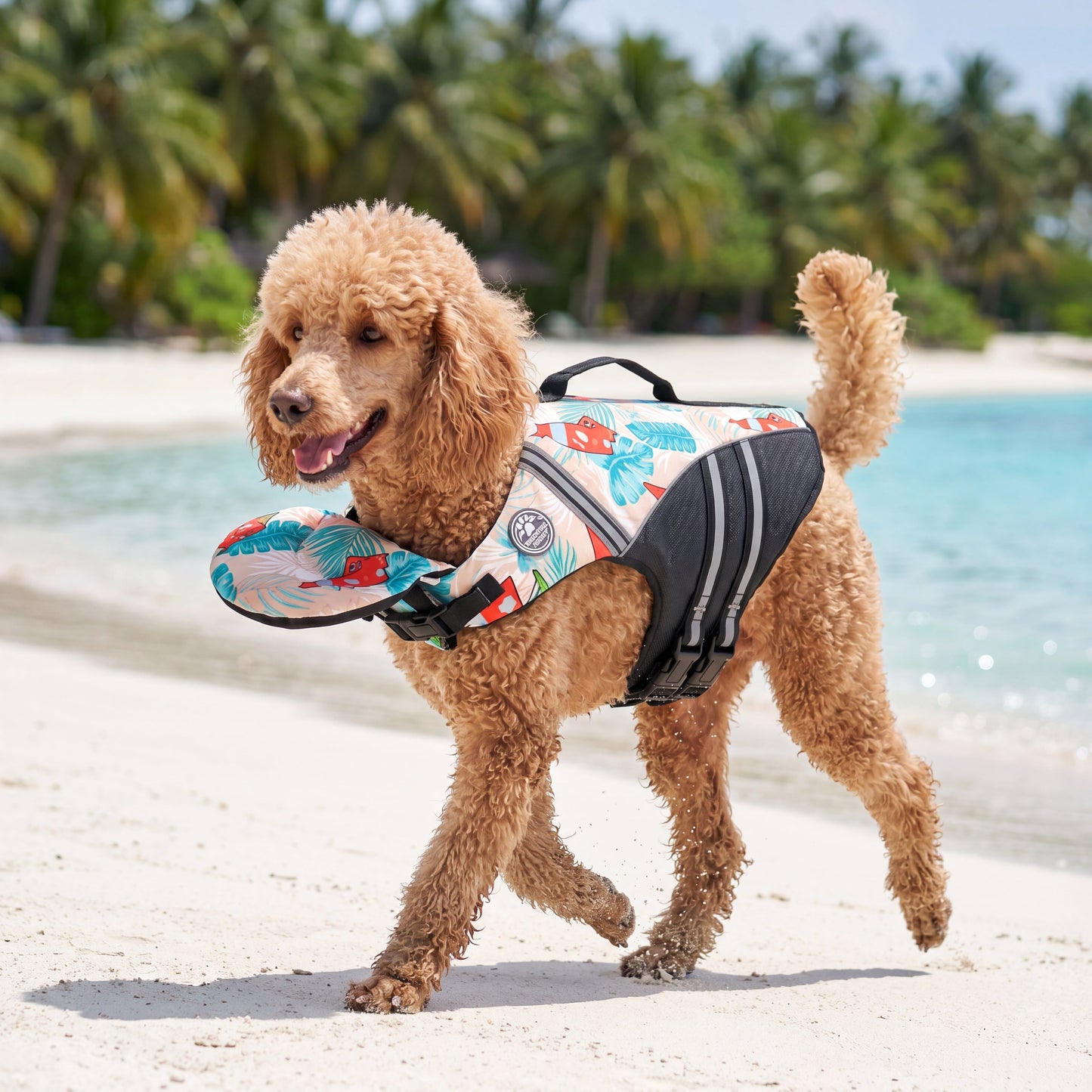 floaty - Schwimmweste für Hunde mit Kopfstütze