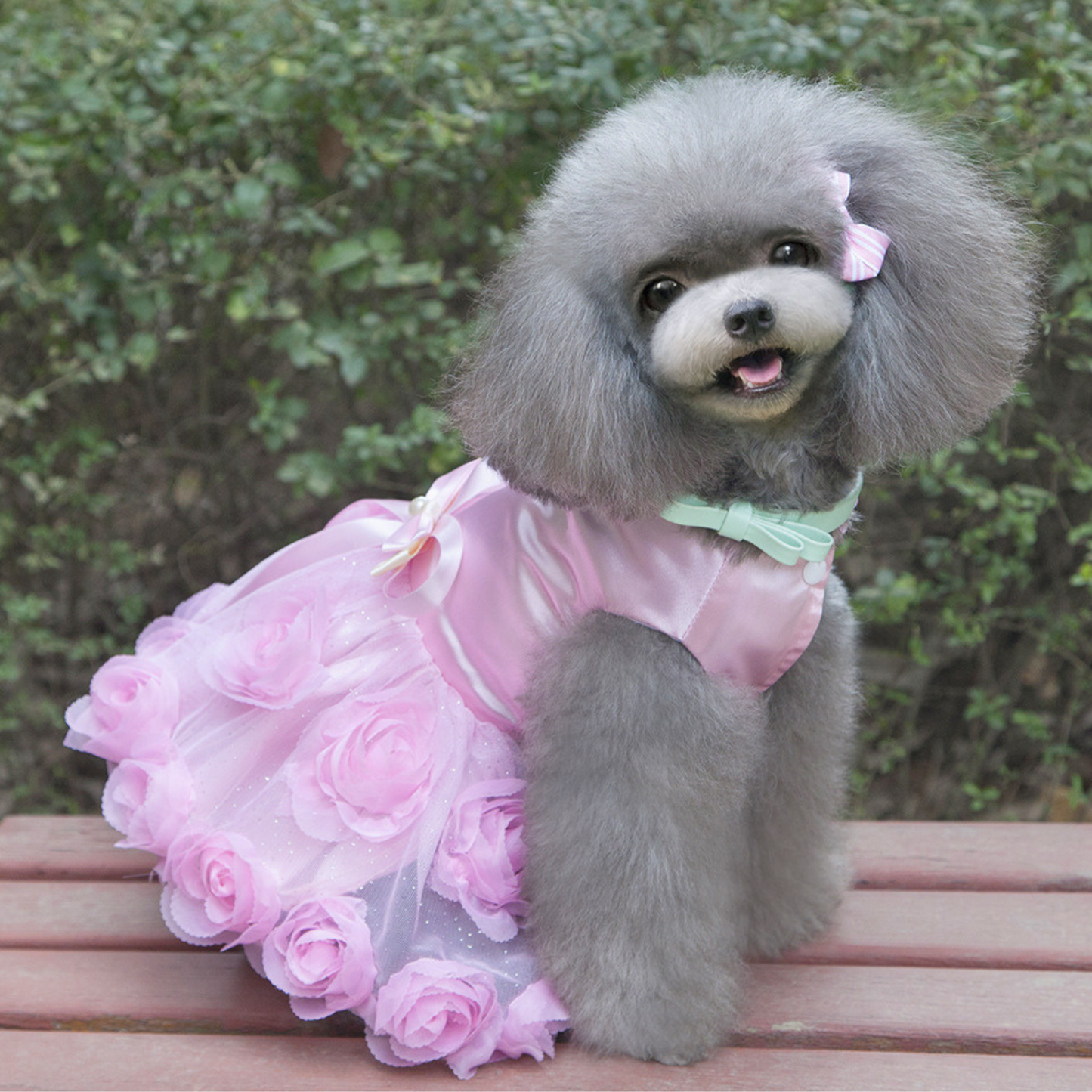 Robe de princesse personnalisée en satin pour animaux de compagnie | inCloth50