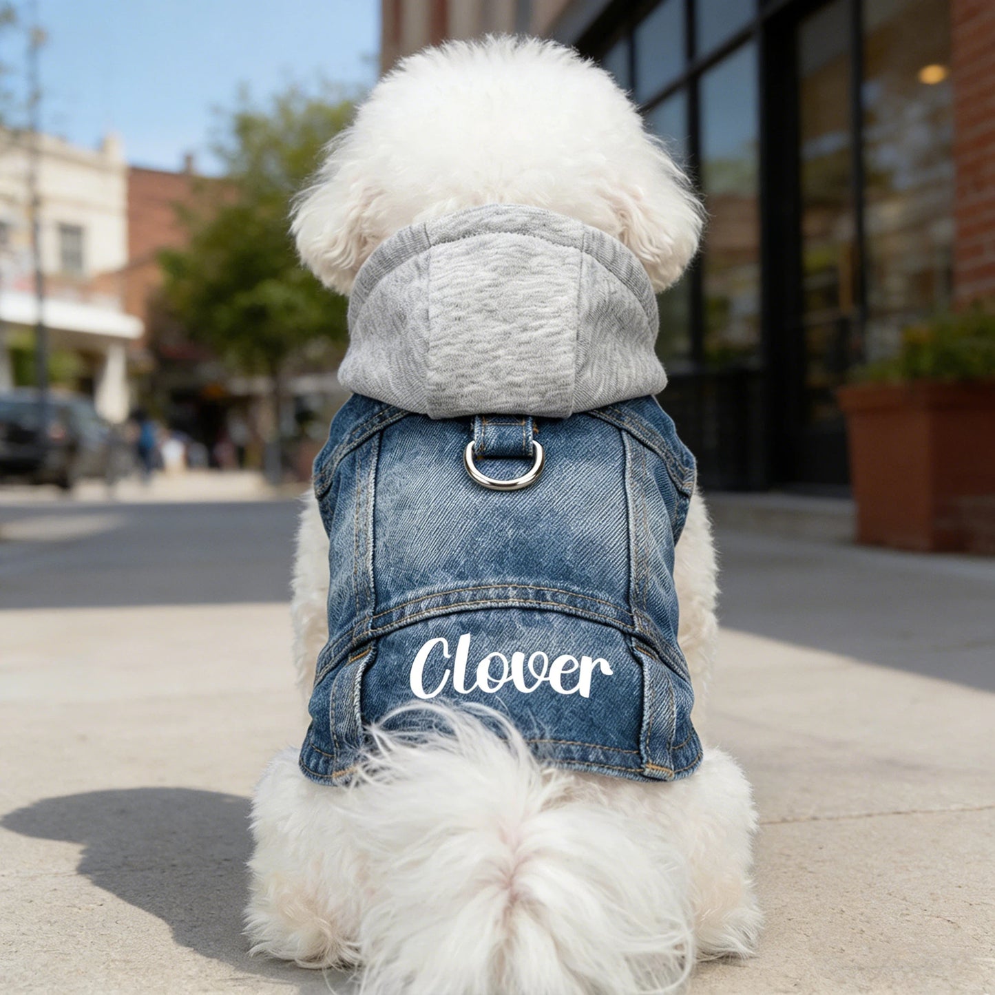 Personalized Name Denim Pet Hoodie Jacket | inCloth60