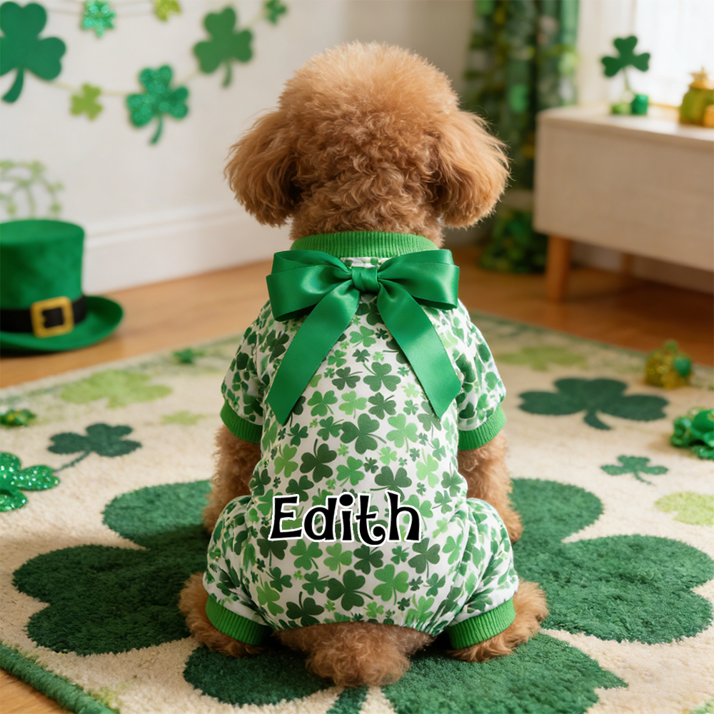 Personalisierter Lucky St. Patrick's Day Overall für Haustiere | inCloth07