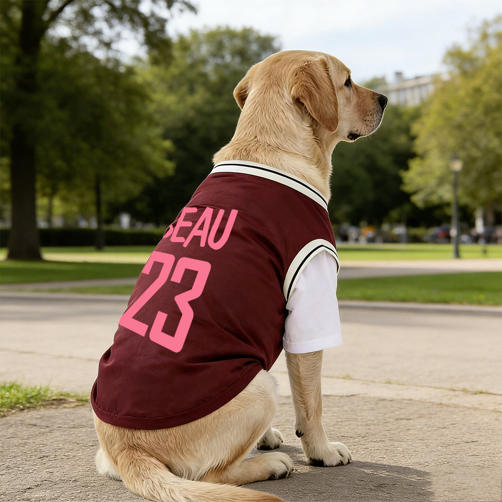 Personalized Breathable Pet Shirt with Name & Number | inCloth62