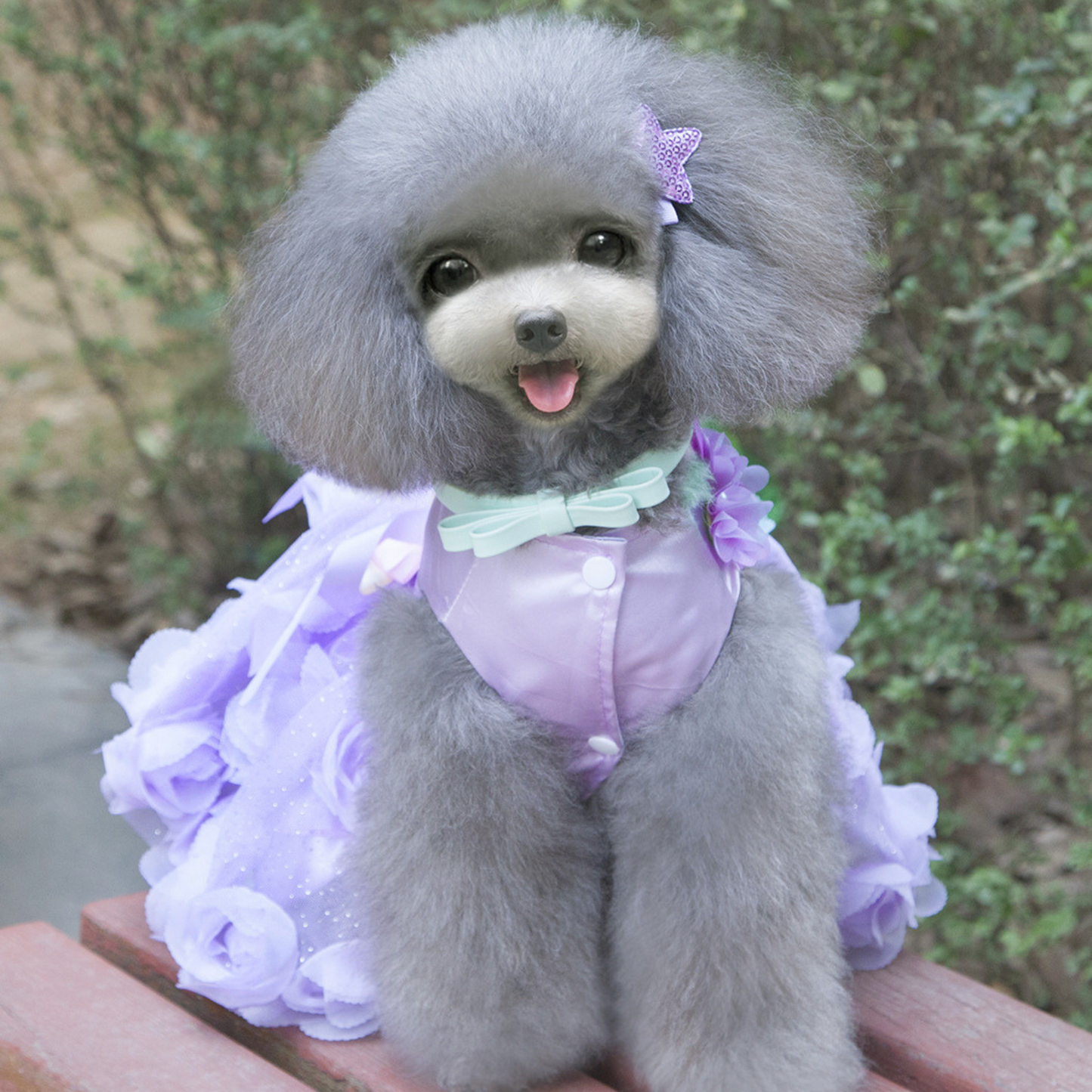 Robe de princesse personnalisée en satin pour animaux de compagnie | inCloth50