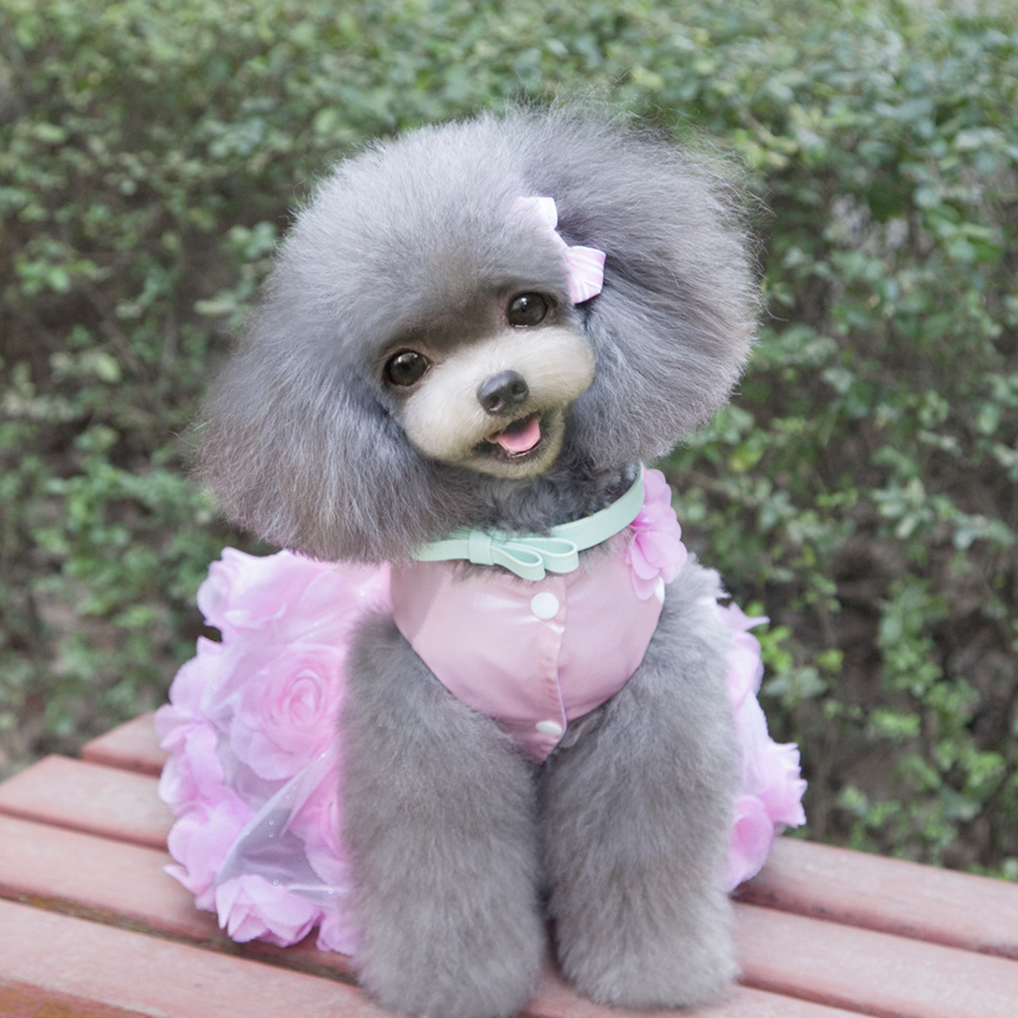 Robe de princesse personnalisée en satin pour animaux de compagnie | inCloth50