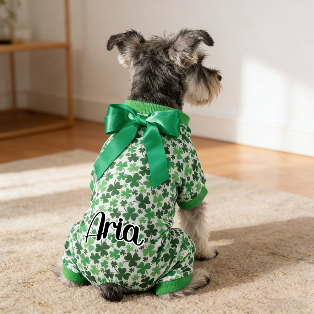 Personalisierter Lucky St. Patrick's Day Overall für Haustiere | inCloth07