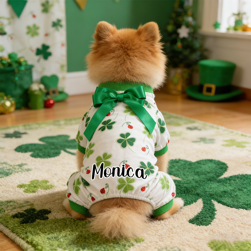 Personalisierter Lucky St. Patrick's Day Overall für Haustiere | inCloth07