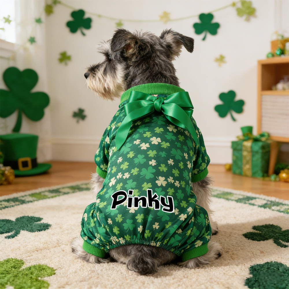 Personalisierter Lucky St. Patrick's Day Overall für Haustiere | inCloth07