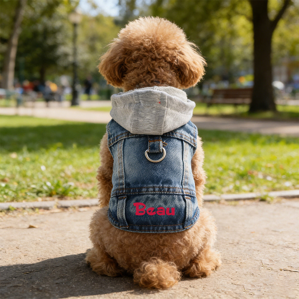 Personalized Name Denim Pet Hoodie Jacket | inCloth60