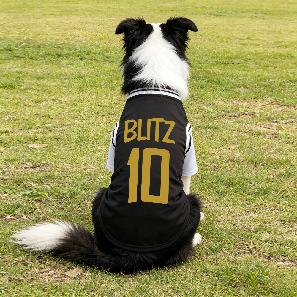 Personalized Breathable Pet Shirt with Name & Number | inCloth62