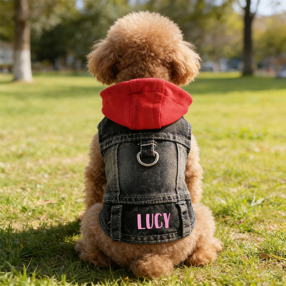 Personalized Name Denim Pet Hoodie Jacket | inCloth60