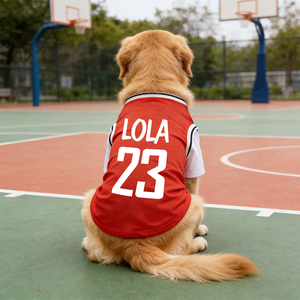 Personalized Breathable Pet Shirt with Name & Number | inCloth62