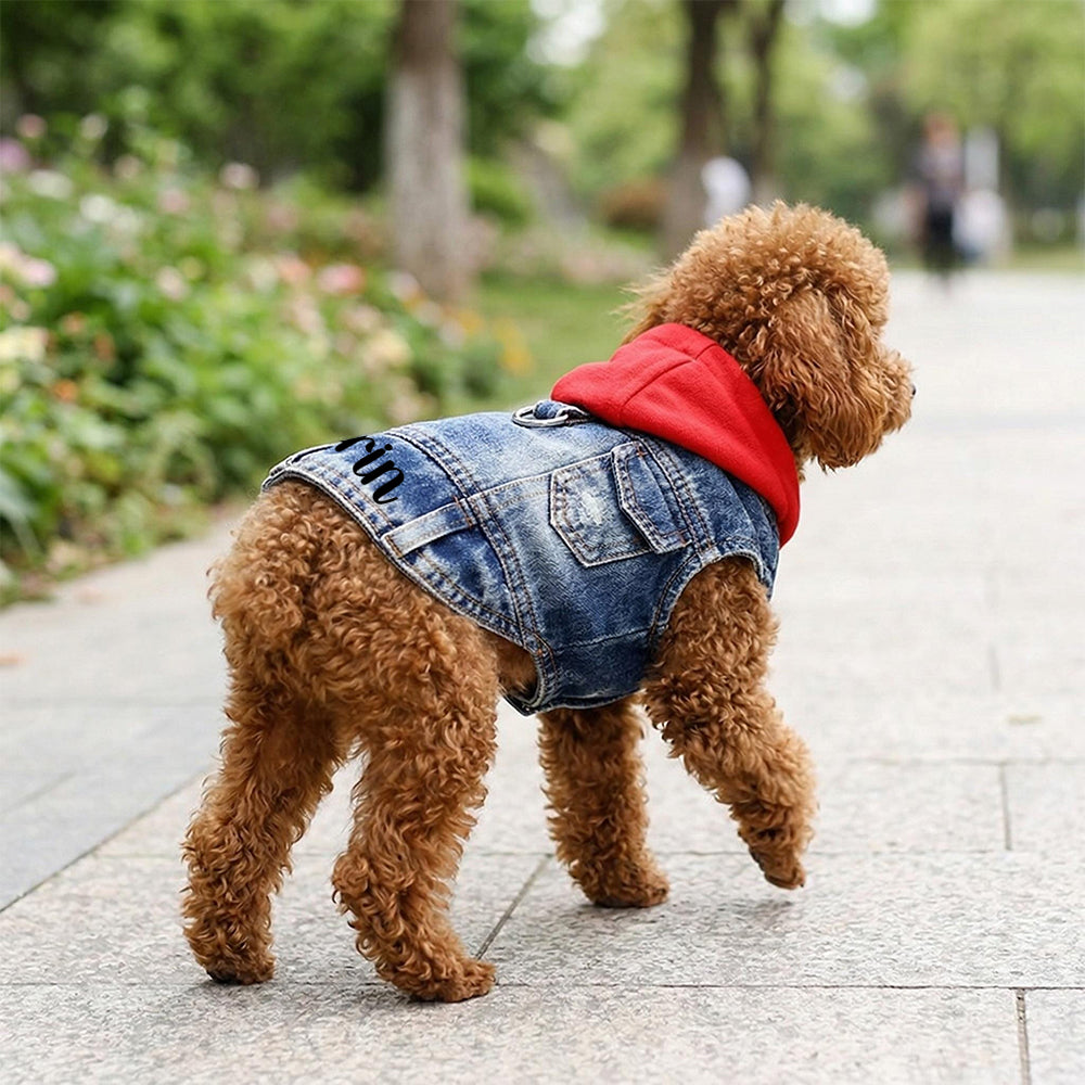 Personalized Name Denim Pet Hoodie Jacket | inCloth60