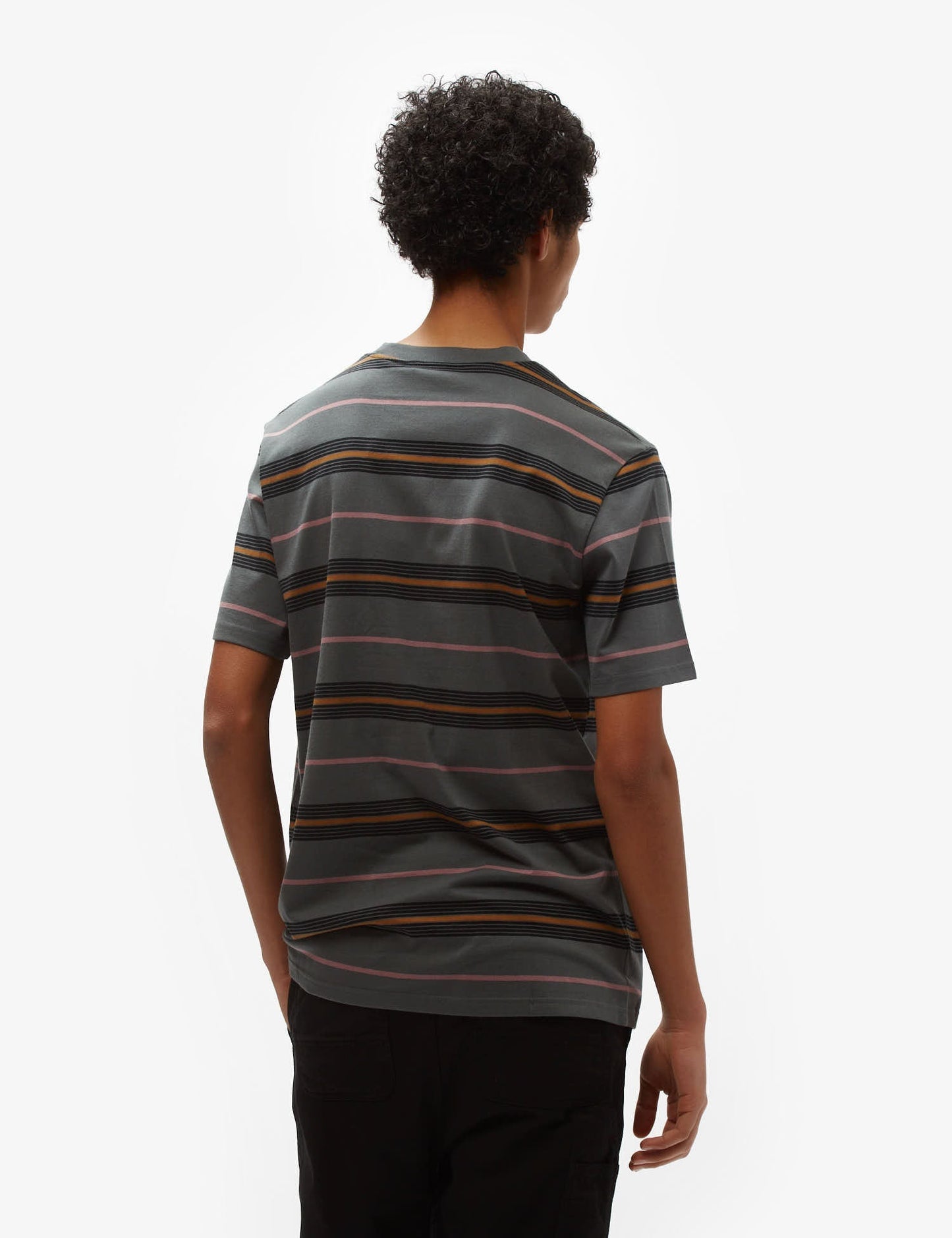 T-shirt rayé Haynes - Vert Jura