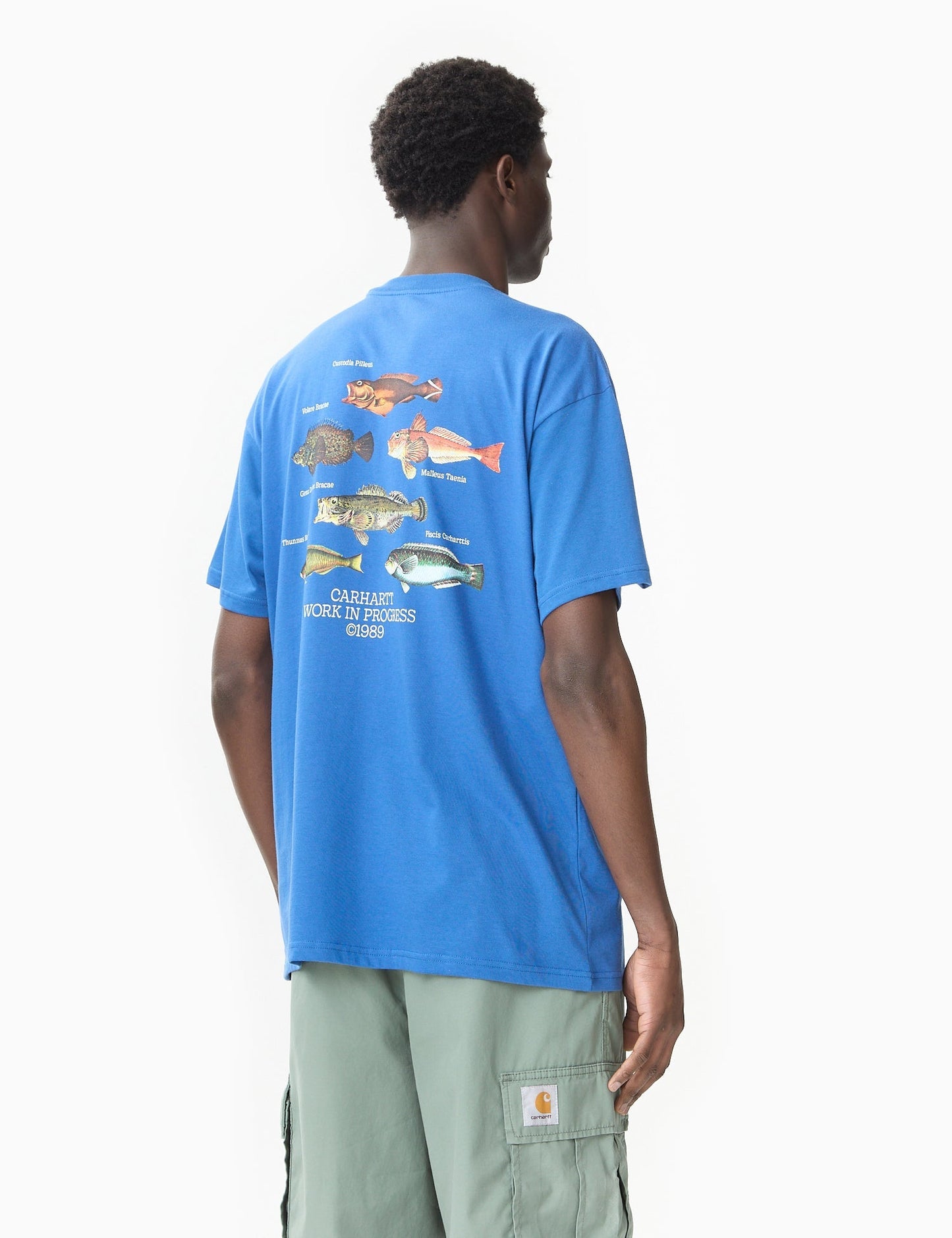 T-shirt Poisson (Ample) - Vert Billet