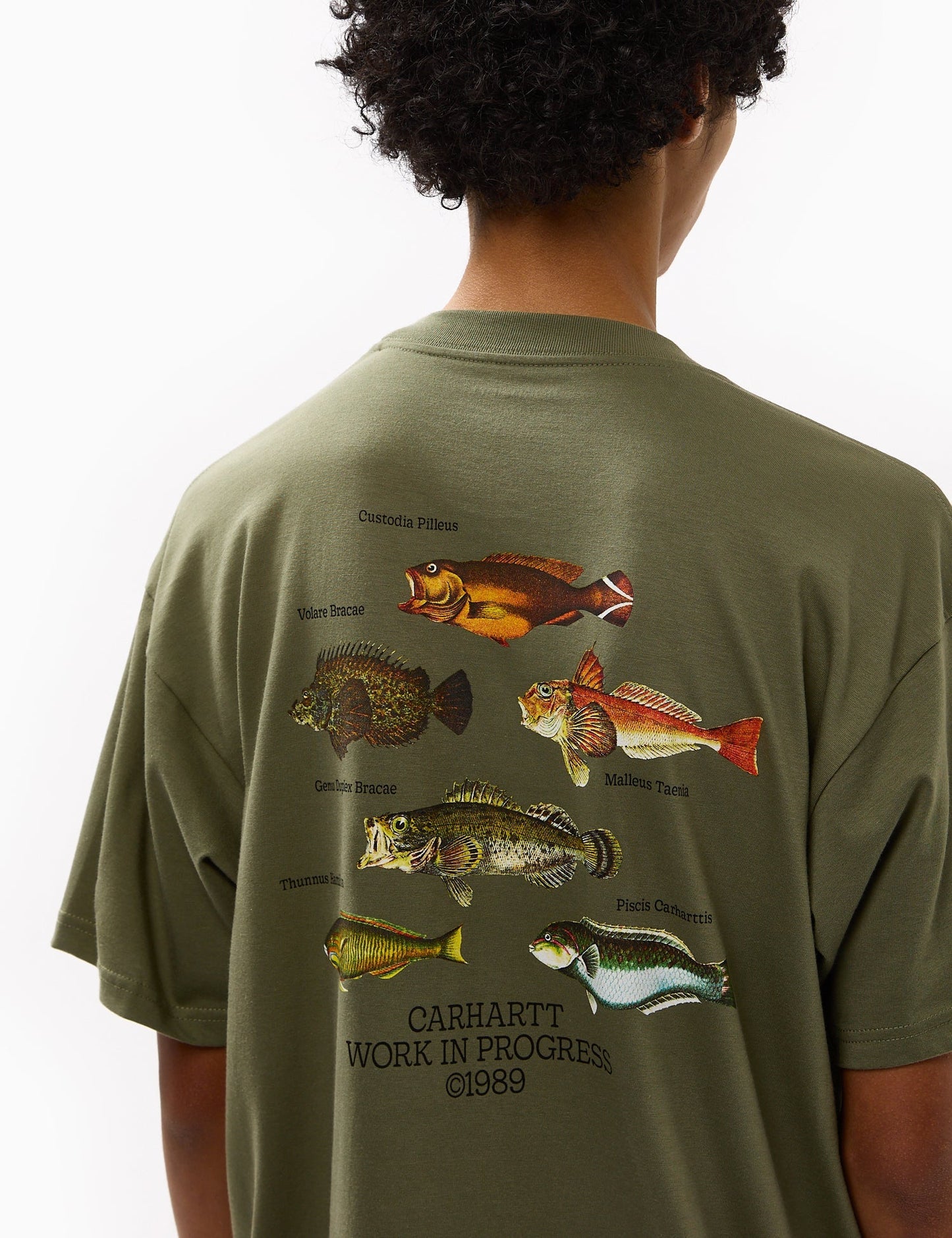 T-shirt Poisson (Ample) - Vert Billet
