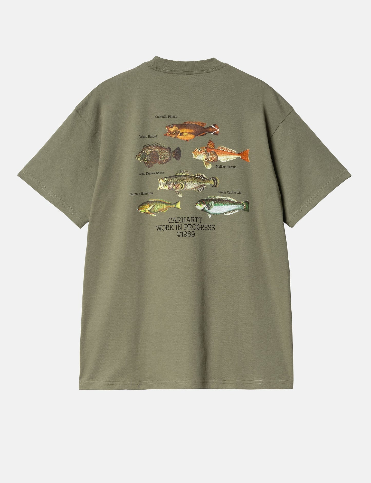 T-shirt Poisson (Ample) - Vert Billet