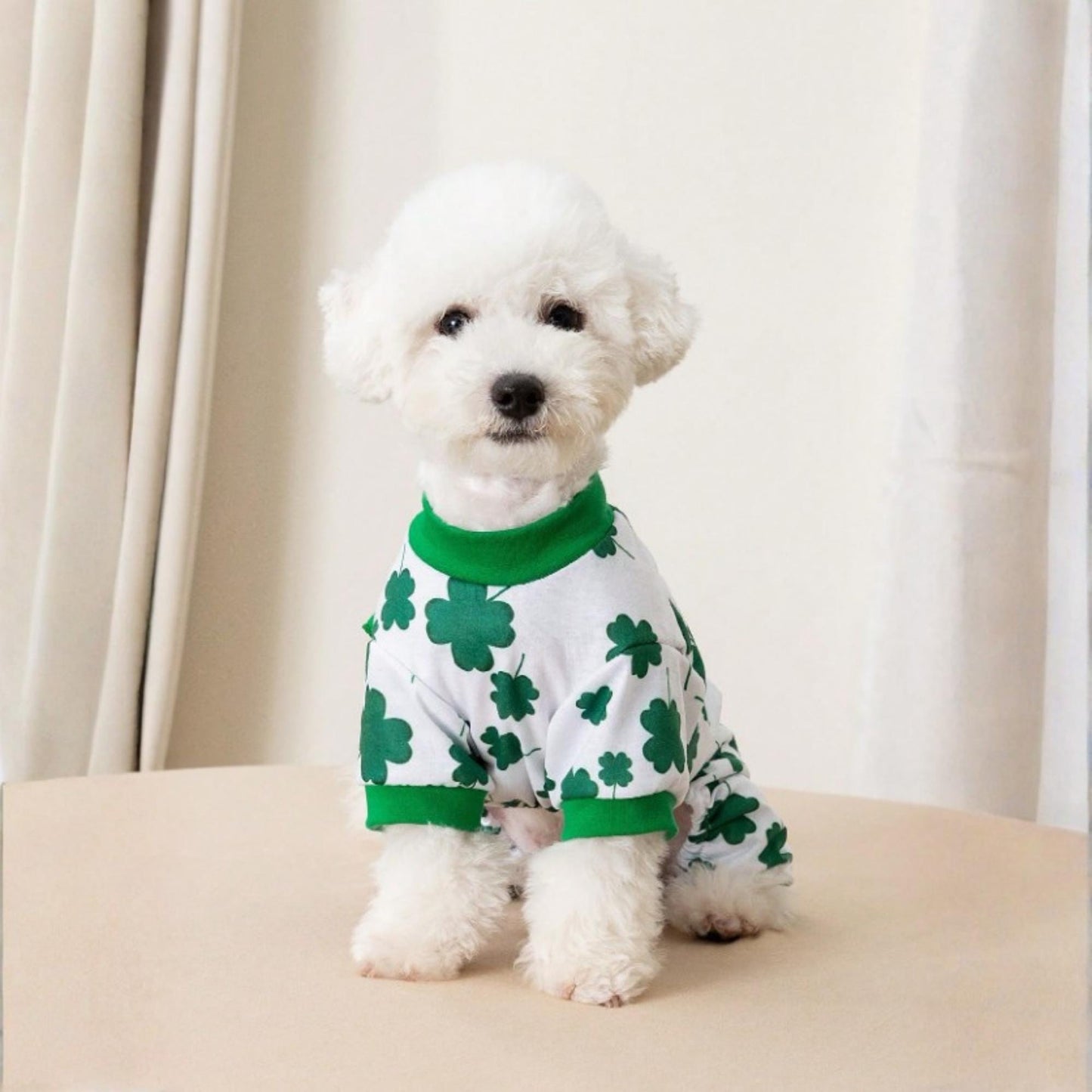 Personalisierter St. Patrick's Day Jumpsuit für Haustiere | inCloth10