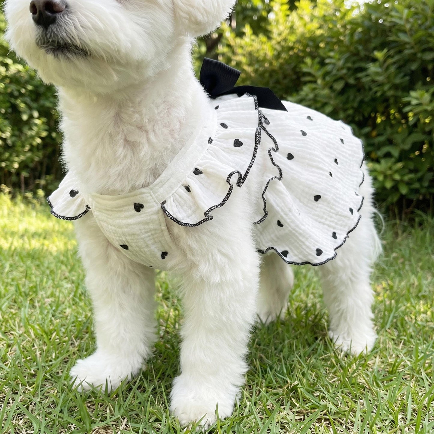 Robe florale personnalisée à nœud pour animaux | inCloth38
