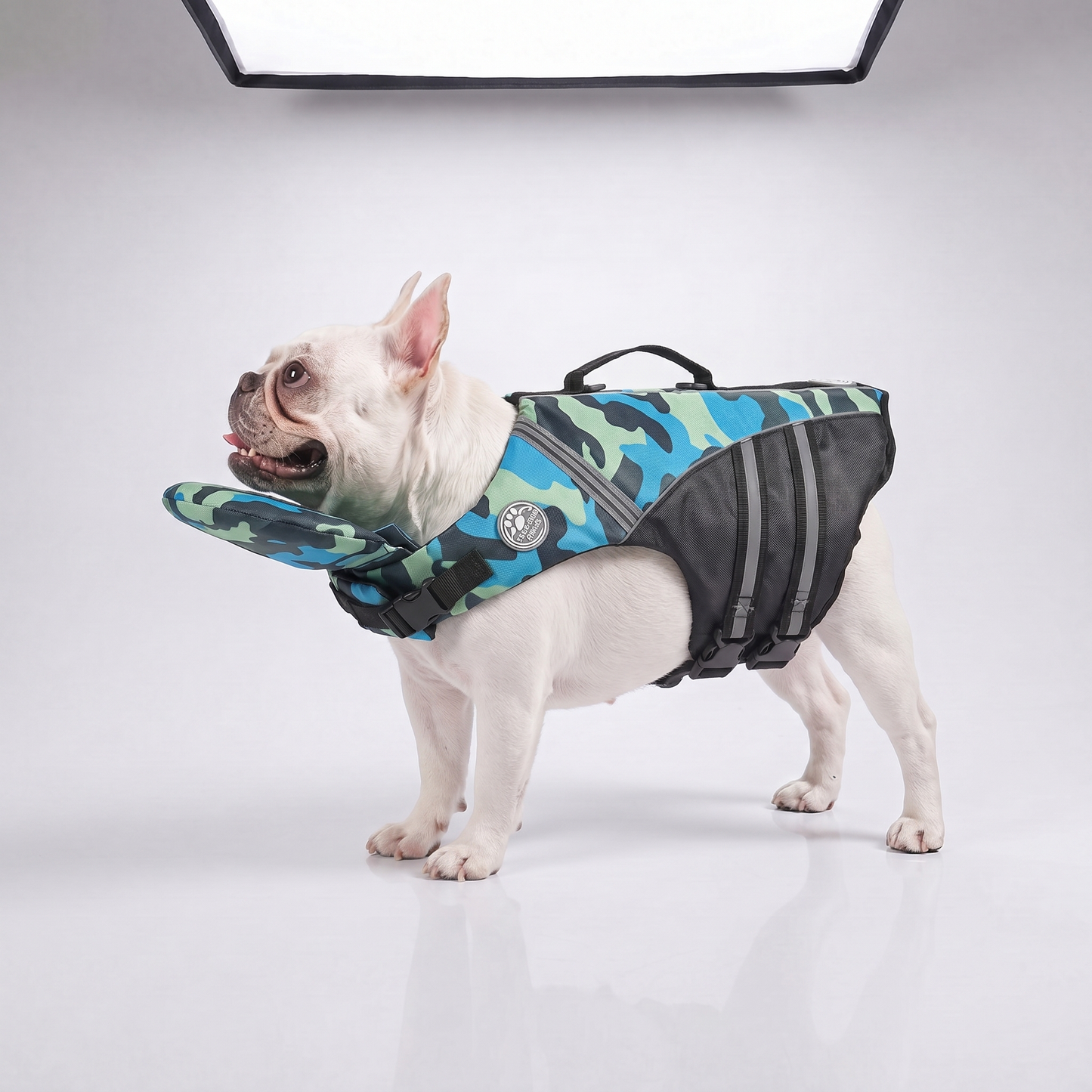 floaty - Schwimmweste für Hunde mit Kopfstütze