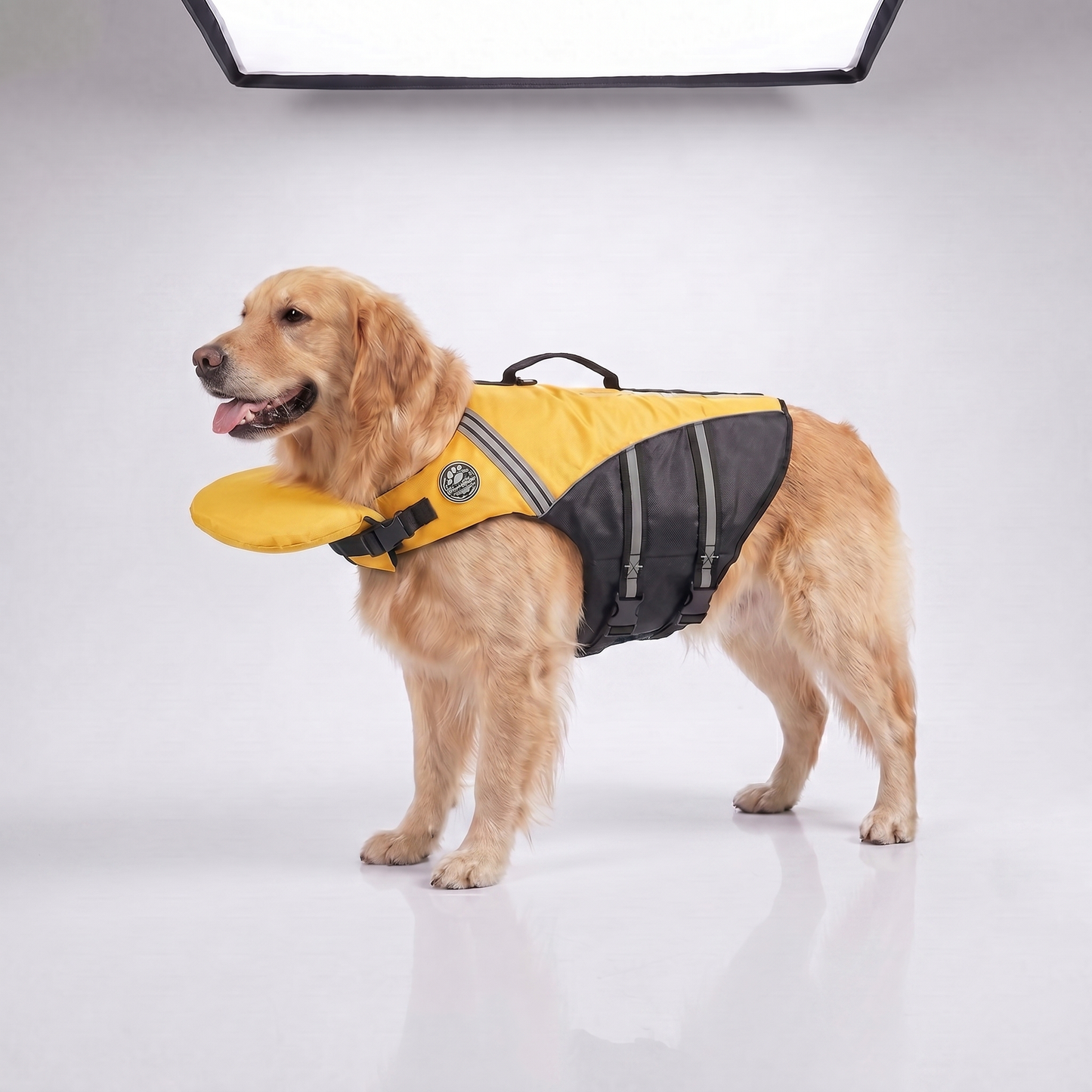 floaty - Schwimmweste für Hunde mit Kopfstütze