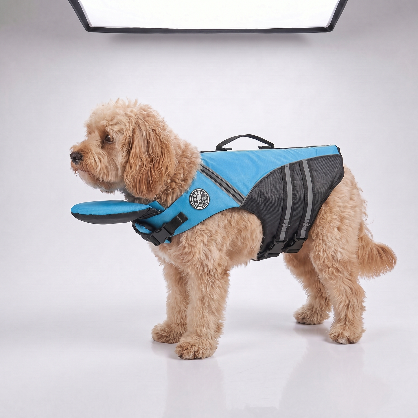 floaty - Schwimmweste für Hunde mit Kopfstütze