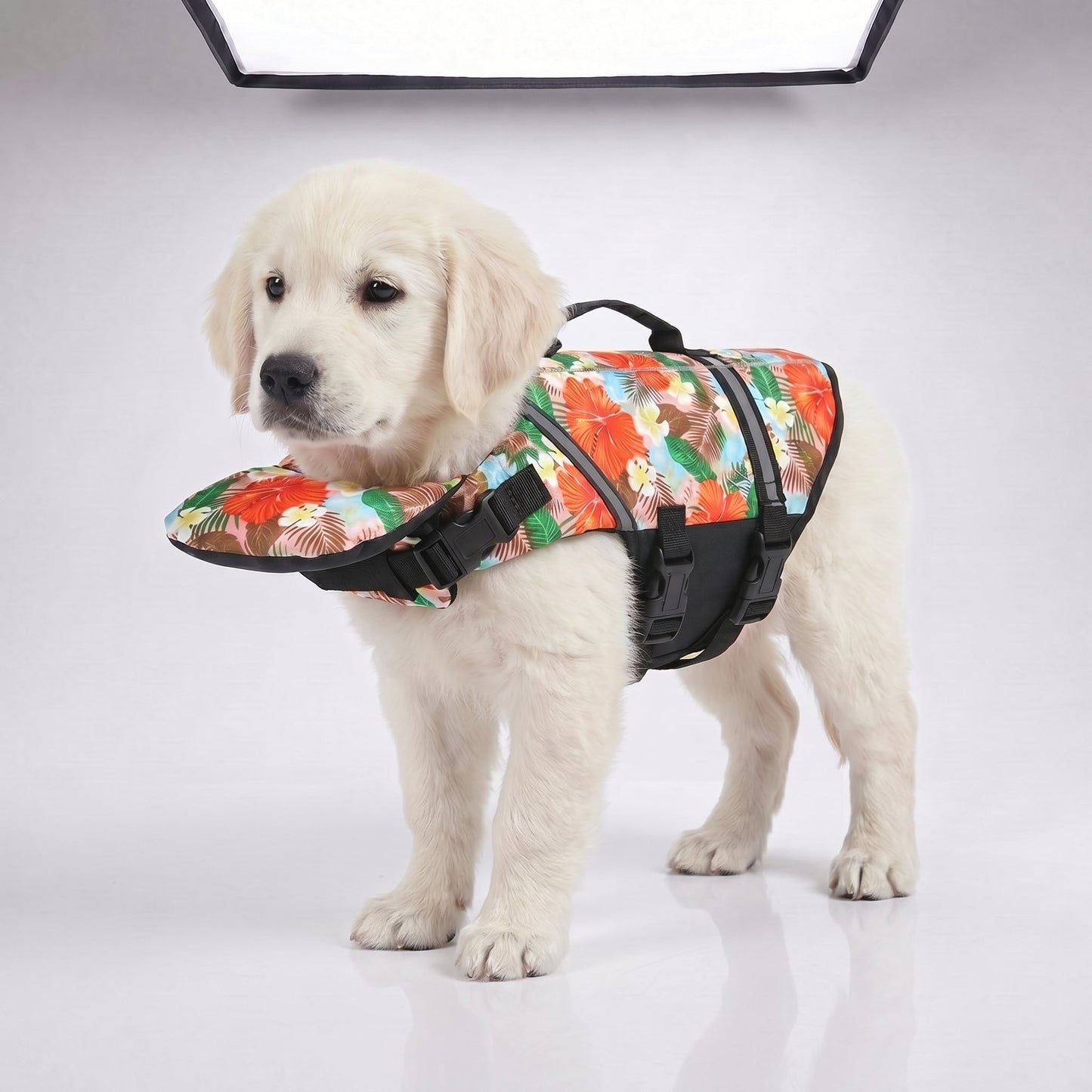 floaty - Schwimmweste für Hunde mit Kopfstütze