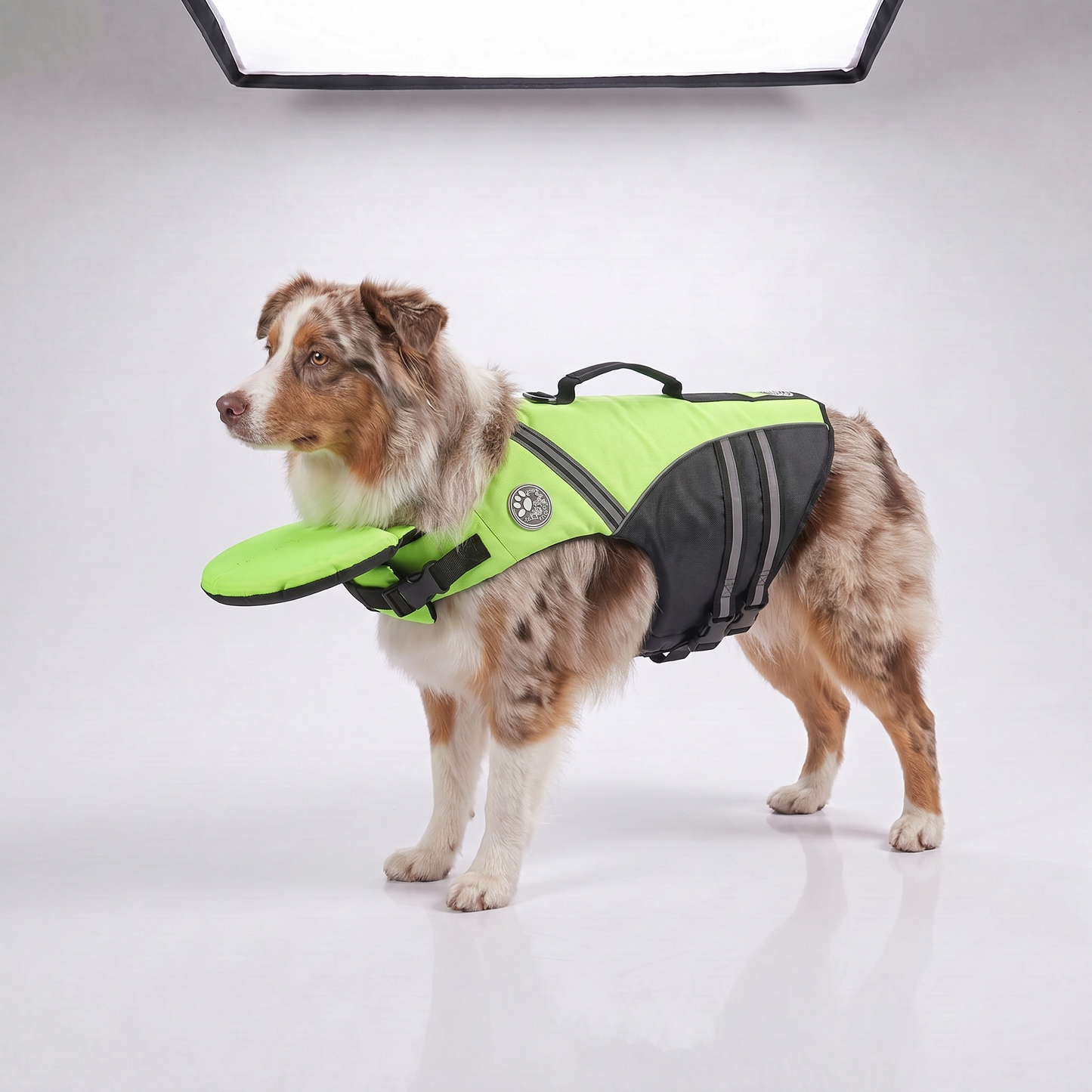 floaty - Schwimmweste für Hunde mit Kopfstütze