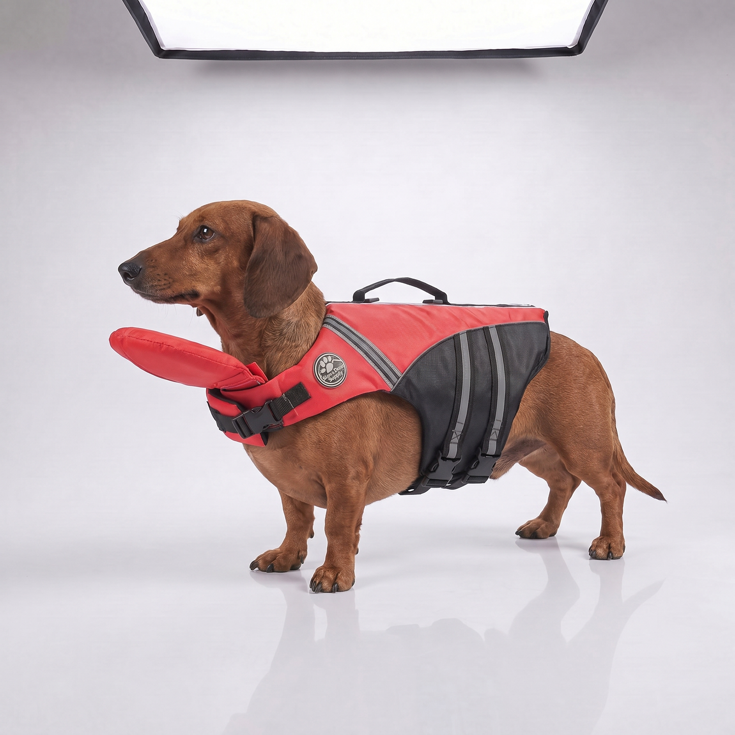 floaty - Schwimmweste für Hunde mit Kopfstütze