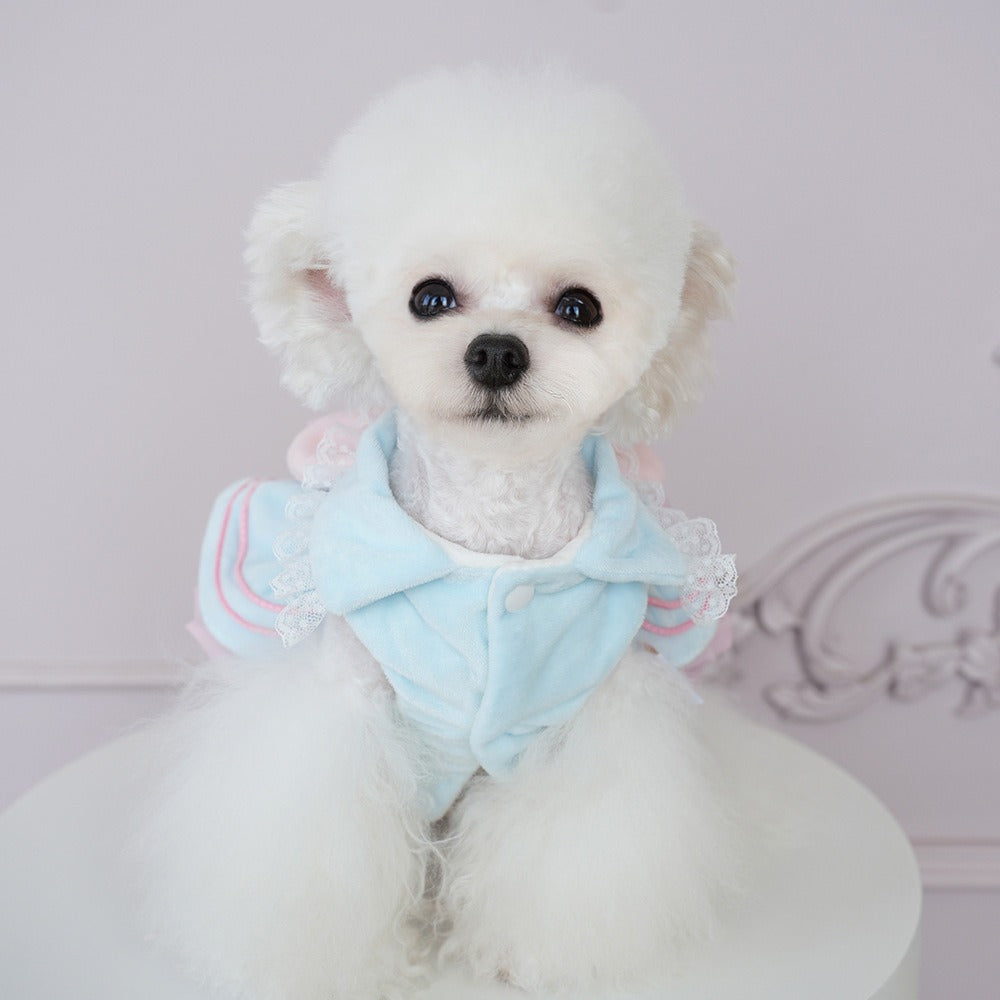 Personalized Name Pet Bowknot Dress | inPet27