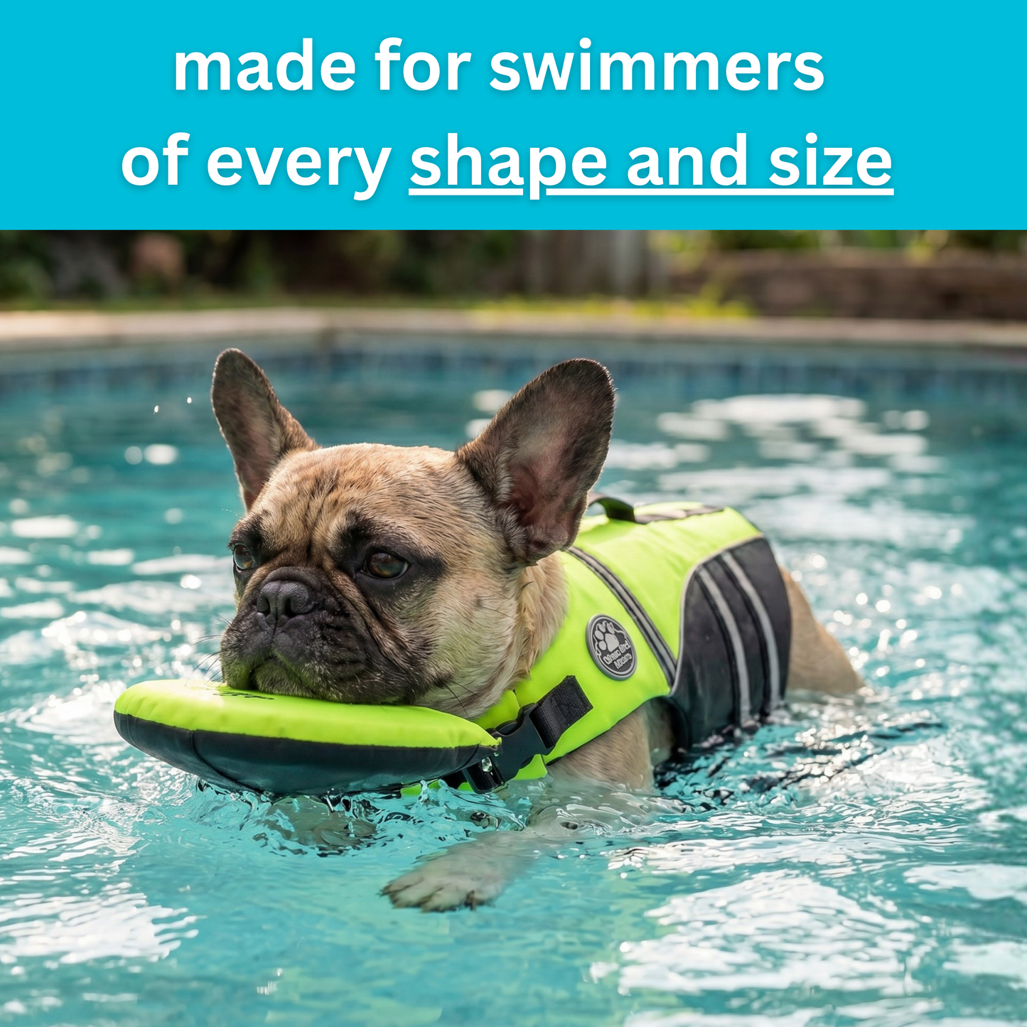 floaty - Schwimmweste für Hunde mit Kopfstütze
